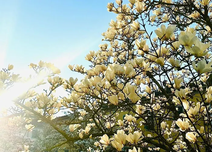 アパート Corso131-dimora Storica Nel Centro Storico *